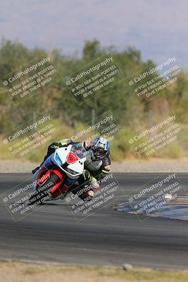 media/Nov-11-2023-SoCal Trackdays (Sat) [[efd63766ff]]/Turn 2 Set 2 (1145am)/